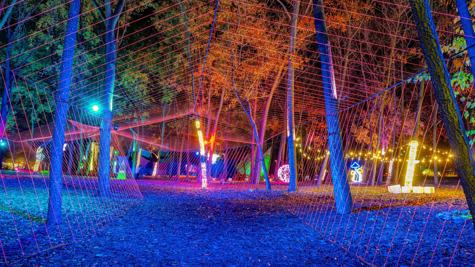 Trees in the woods at The Acres lit blue, orange and gold, strung with glowing yarn lines